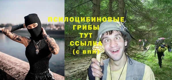 прущая мука Верхний Тагил