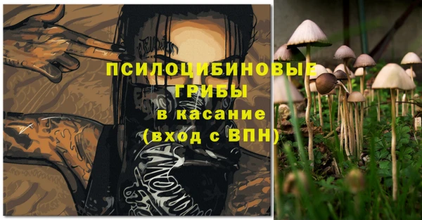 прущая мука Верхний Тагил