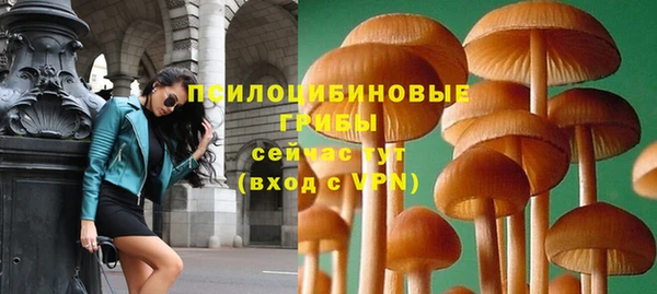 тгк Богданович
