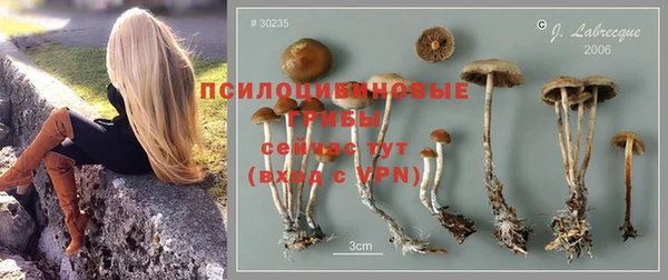альфа пвп Верея
