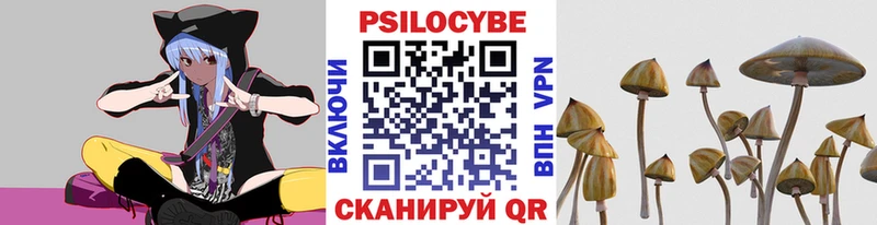 Галлюциногенные грибы Psilocybe  купить закладку  Ефремов 